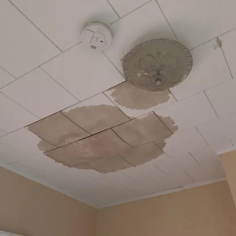 Ceiling Water Damage Repair in Wrightsville, PA