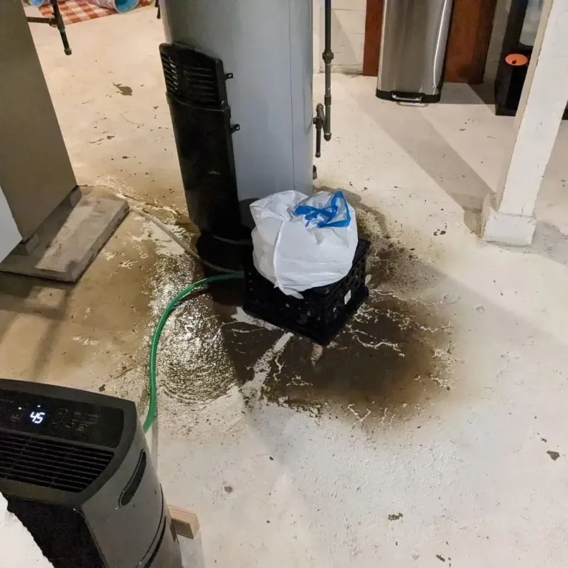 Sewage Backup Cleanup Service in Wrightsville, PA